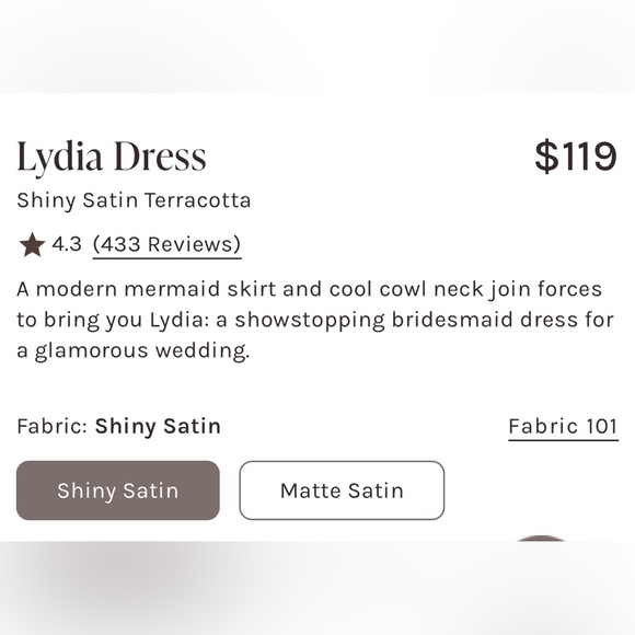 Birdy Grey Lydia Dress Terracotta Color in Shiny Satin - Picture 4 of 4
